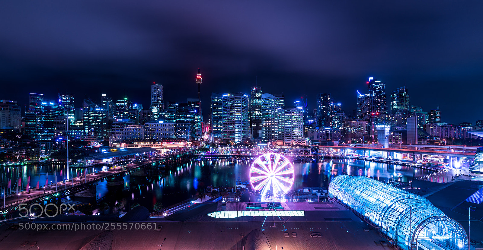 Nikon D850 sample photo. Darling harbour by night  photography