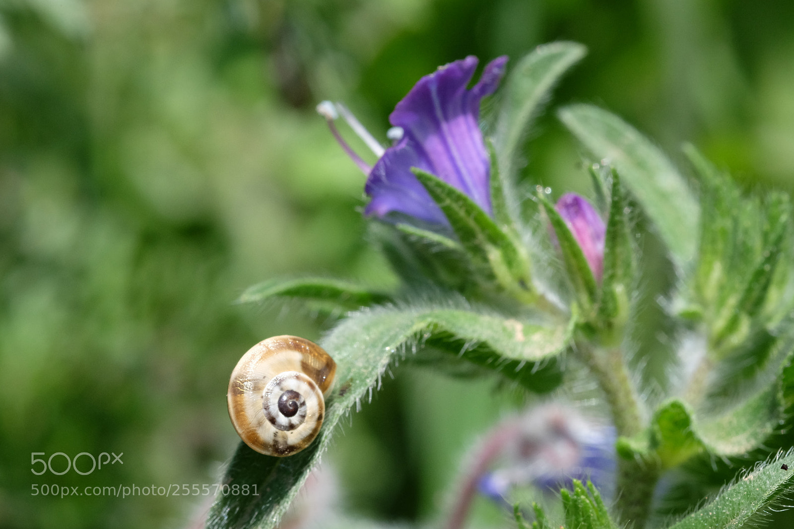 Fujifilm X-T1 sample photo. Untitled photography