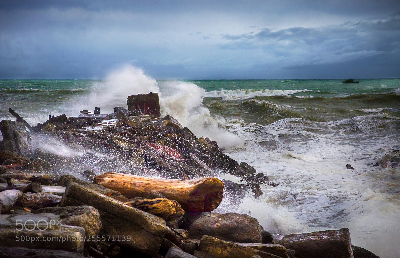 Nikon D7000 sample photo. Exposed to the storm photography