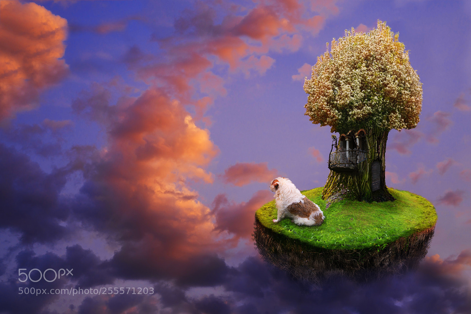 Nikon D610 sample photo. Children's collage about the photography