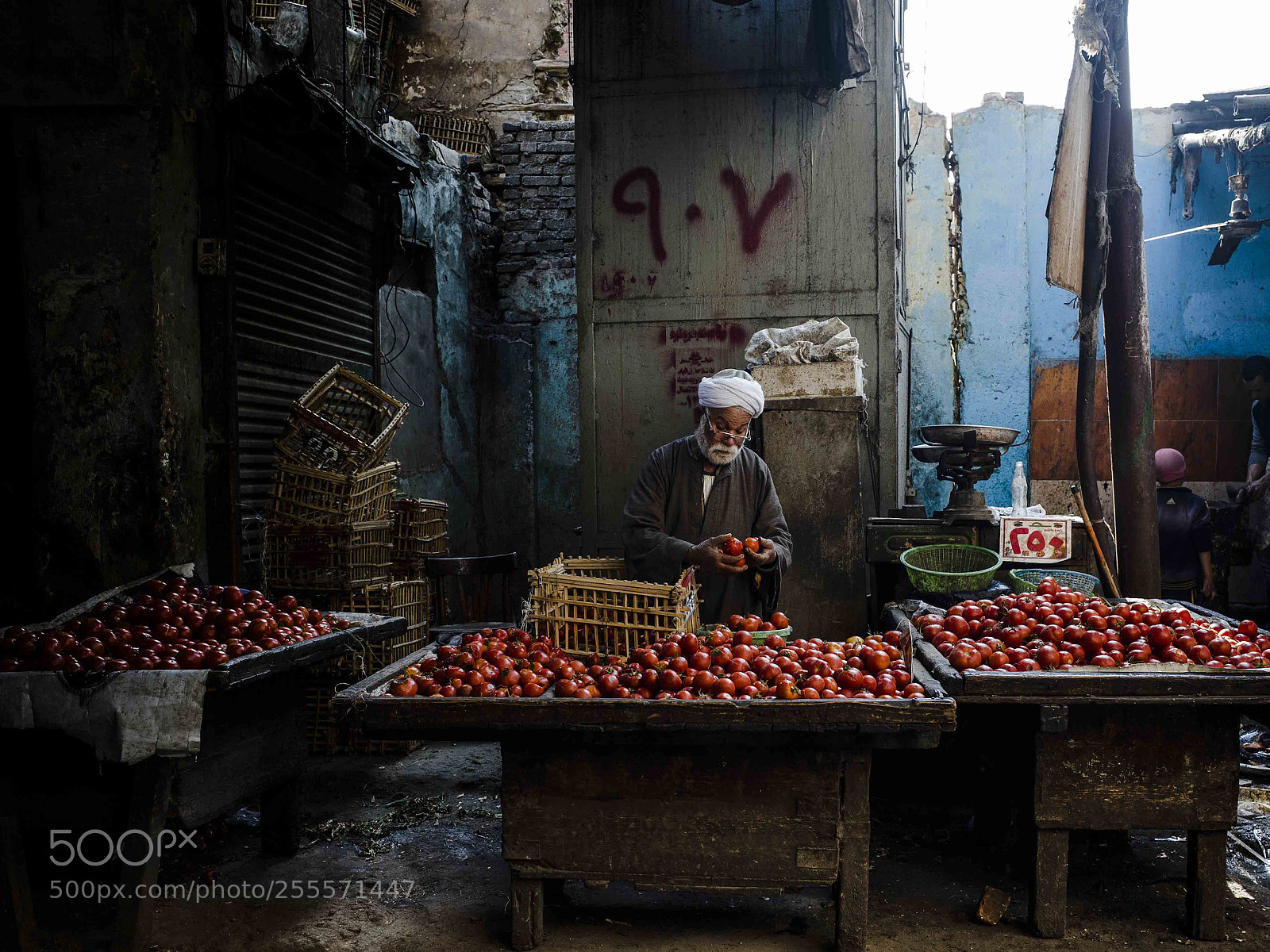 Ricoh GR sample photo. Cairo_egypt photography