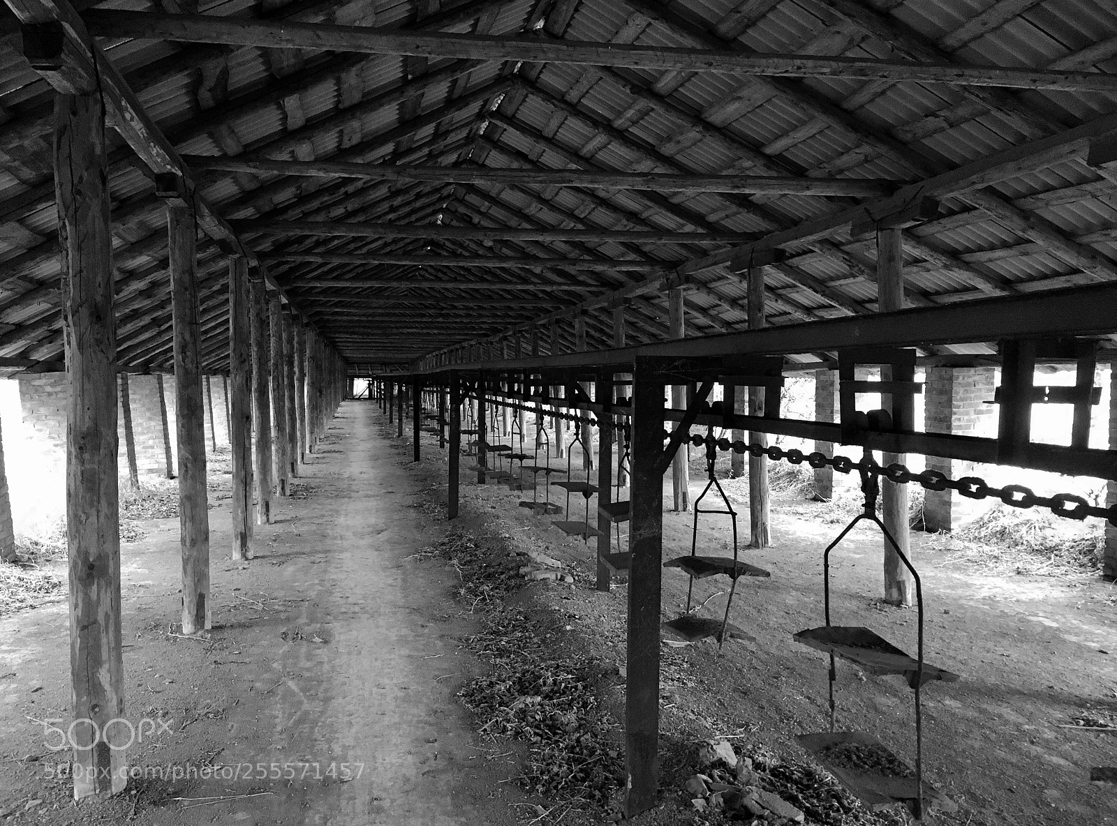 Apple iPhone SE sample photo. Abandoned factory photography
