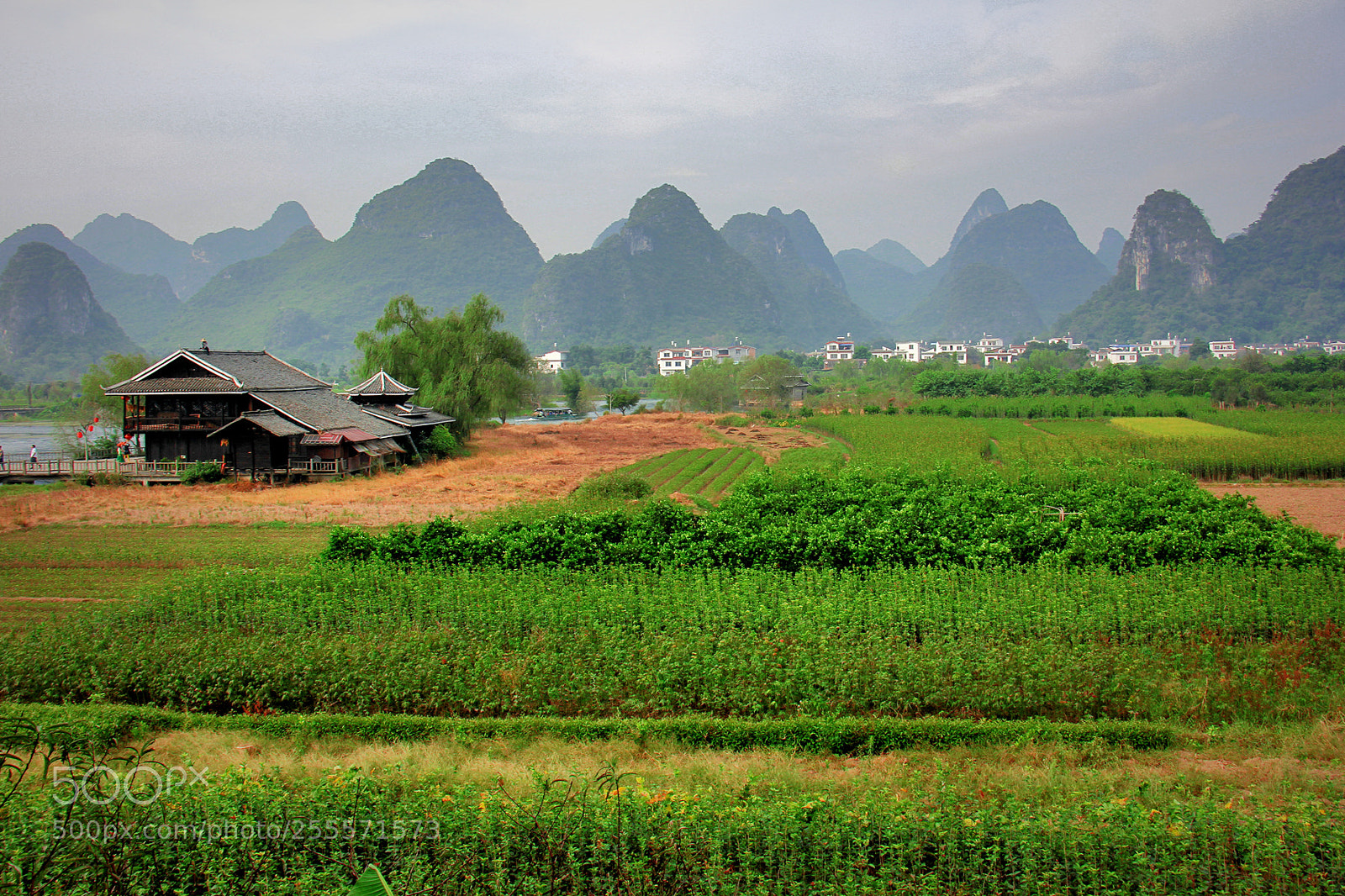 Canon EOS 60D sample photo. Untitled photography