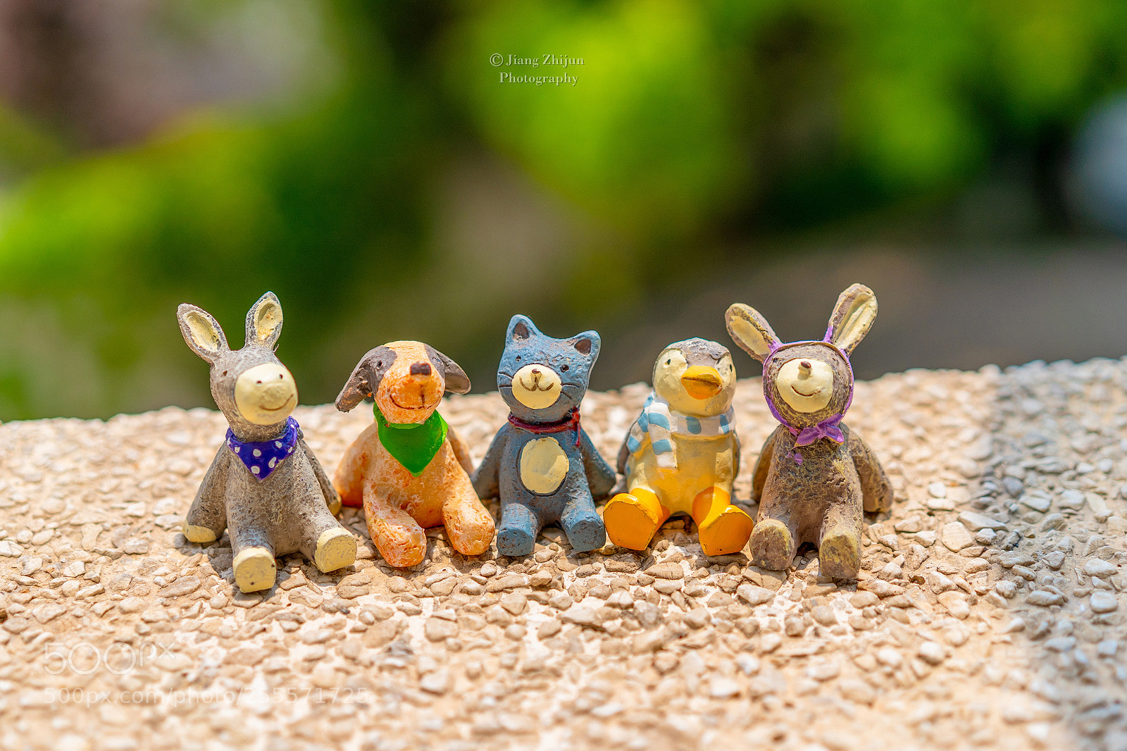 Sony a7 III sample photo. Anipals photography