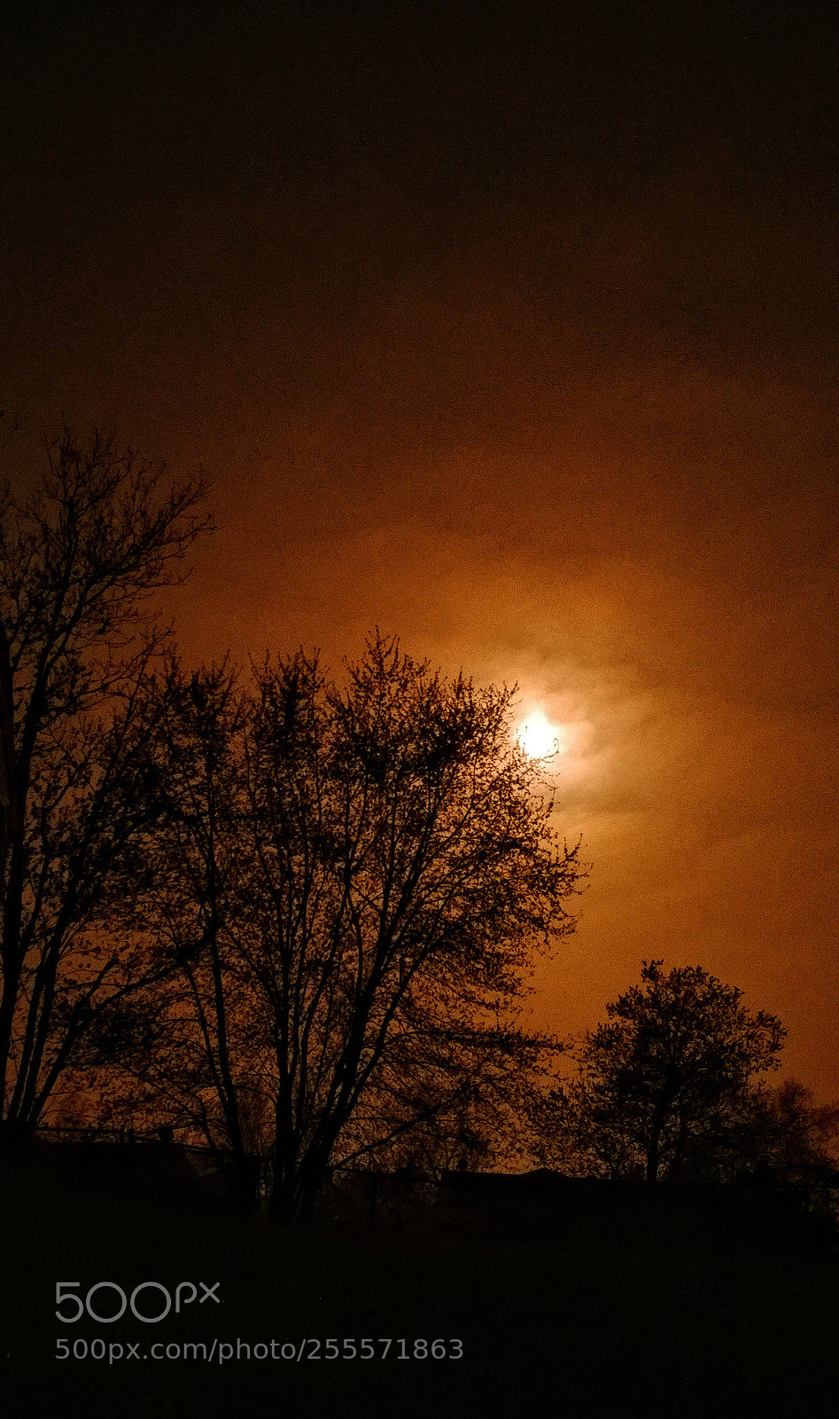 LG V20 sample photo. Orangy sky photography