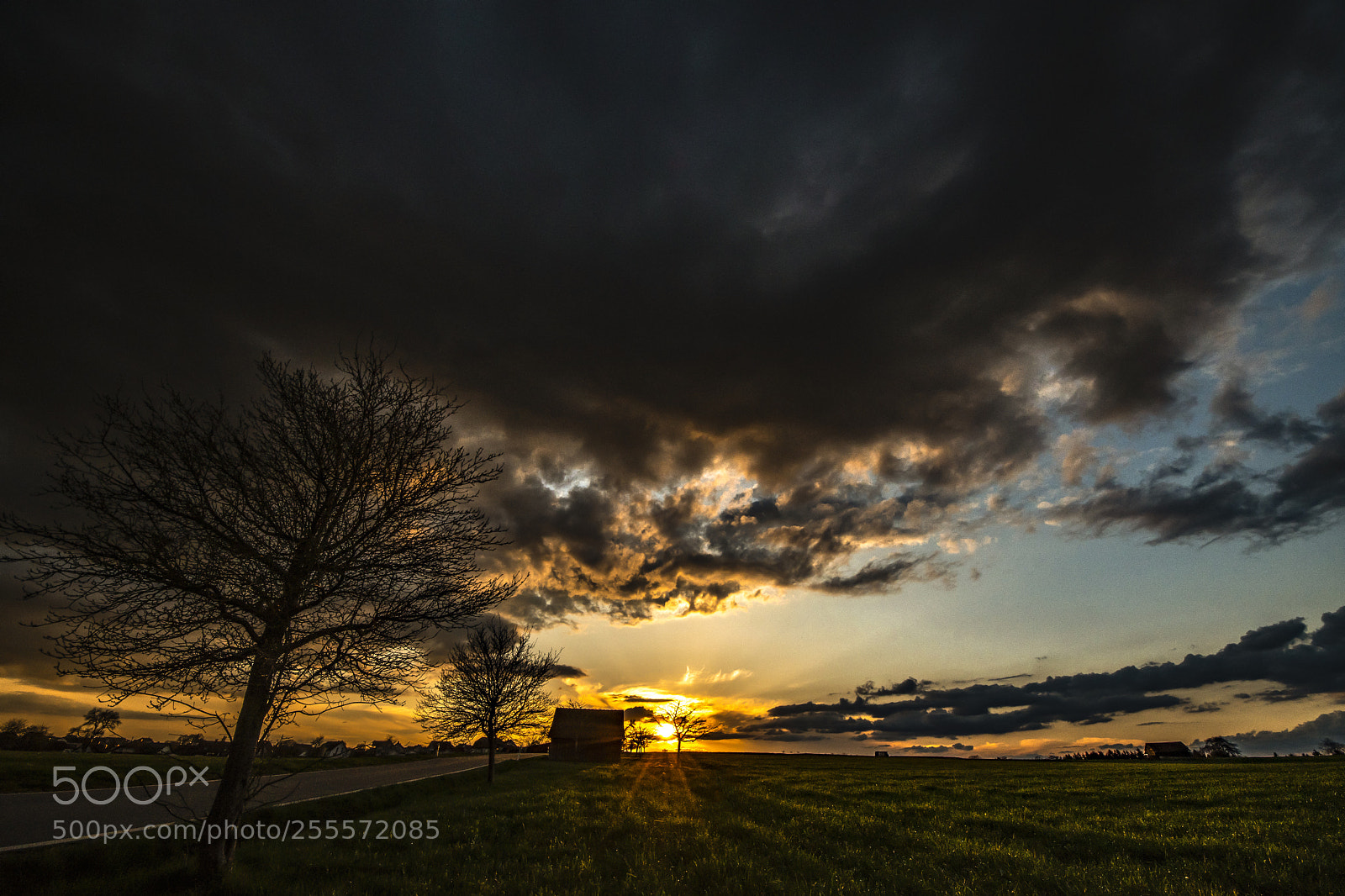 Nikon D500 sample photo. April sunset photography