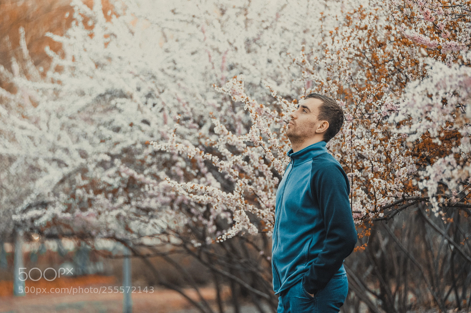 Nikon D700 sample photo. Me photography