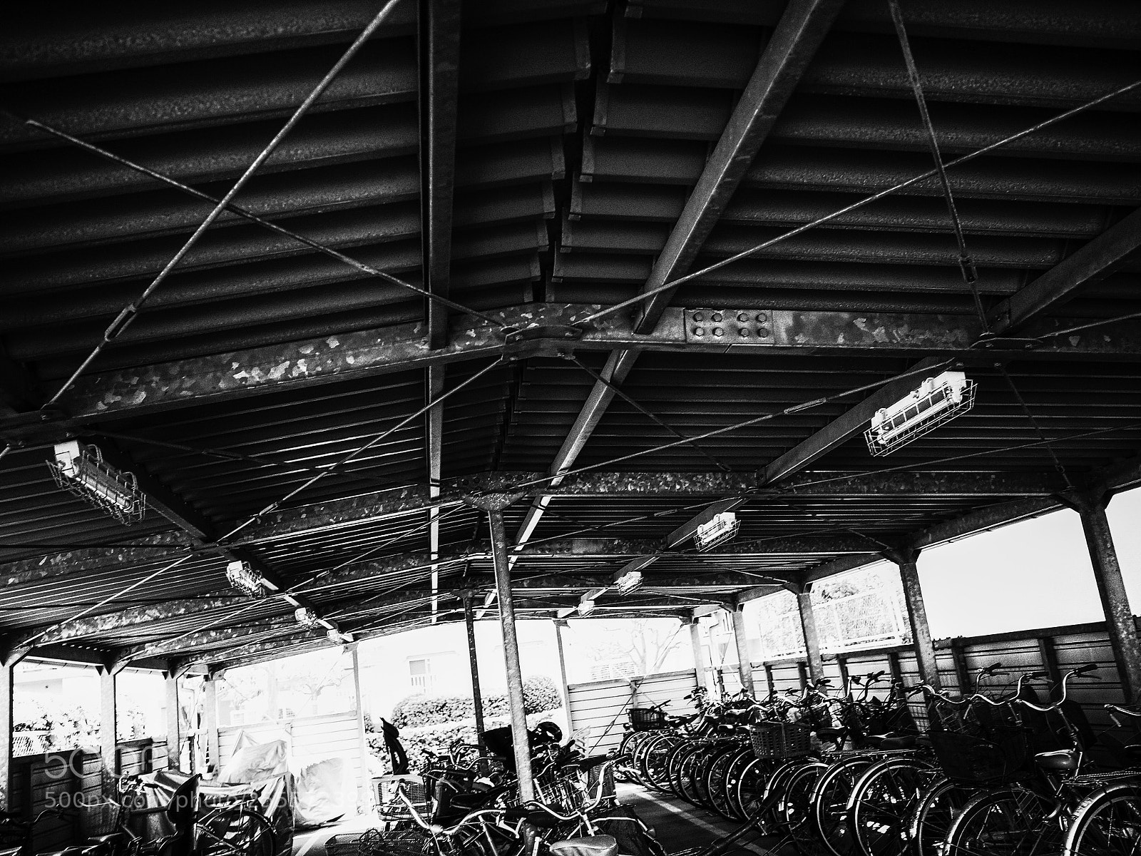 Ricoh GR II sample photo. Untitled photography
