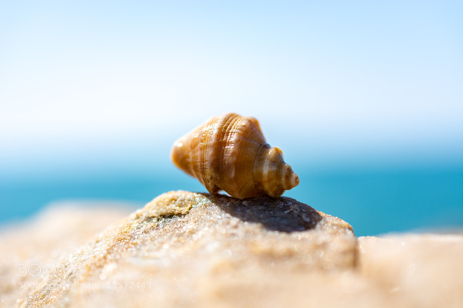 Nikon D7100 sample photo. Sea photography