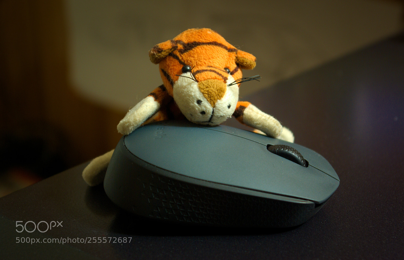 Pentax K10D sample photo. The mouse and the photography