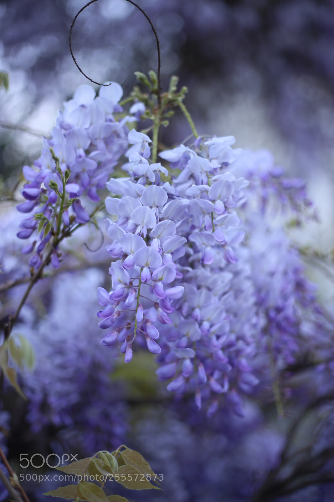 Canon EOS 6D sample photo. Untitled photography