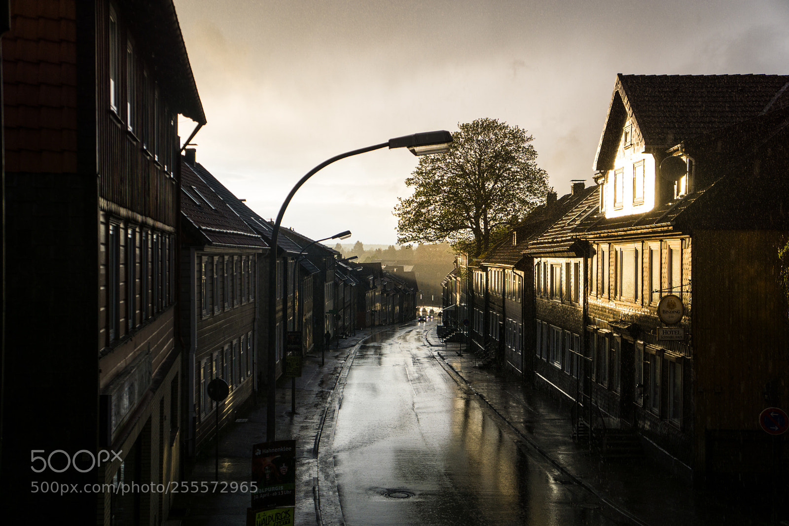 Sony a6000 sample photo. After the rain photography