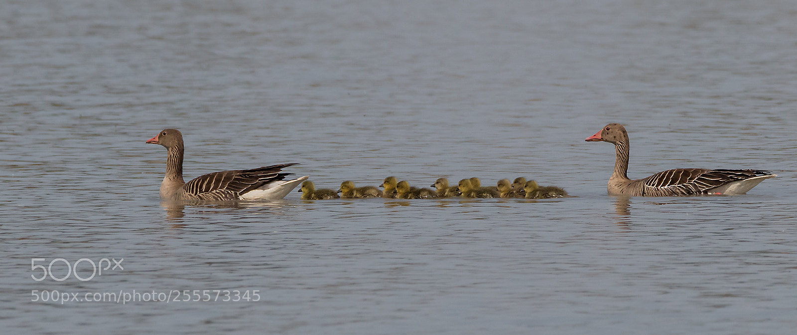Canon EOS 7D Mark II sample photo. ``familienausflug´´ photography