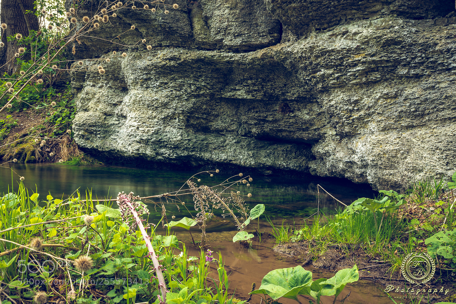 Nikon D7200 sample photo. Springquelle bei plaue photography