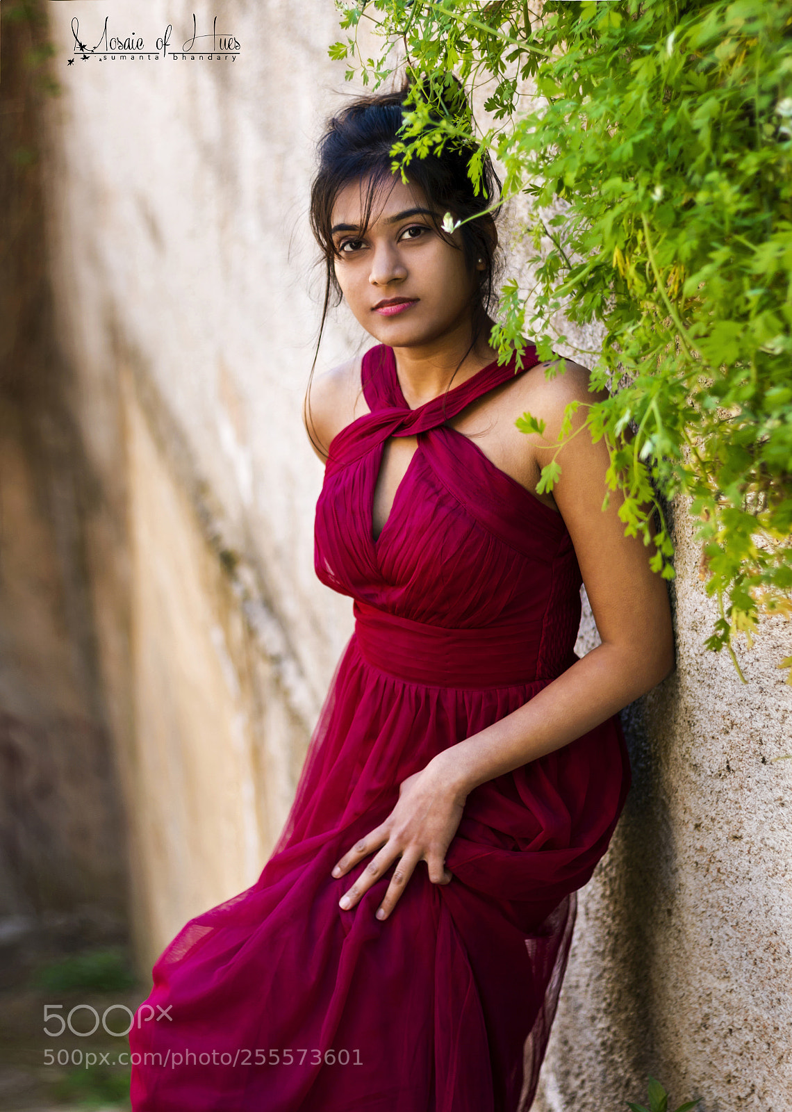 Canon EOS 70D sample photo. Elegance personified ! photography