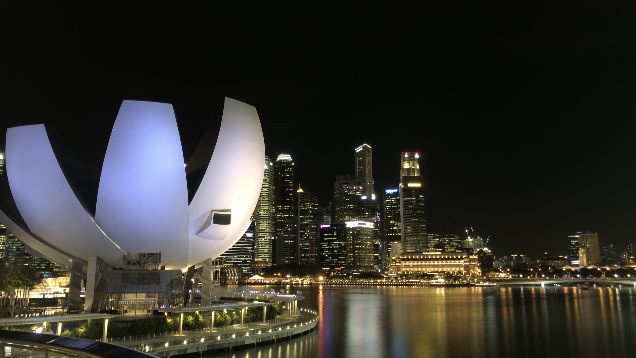 Apple iPhone sample photo. Lotus & city nightscape photography