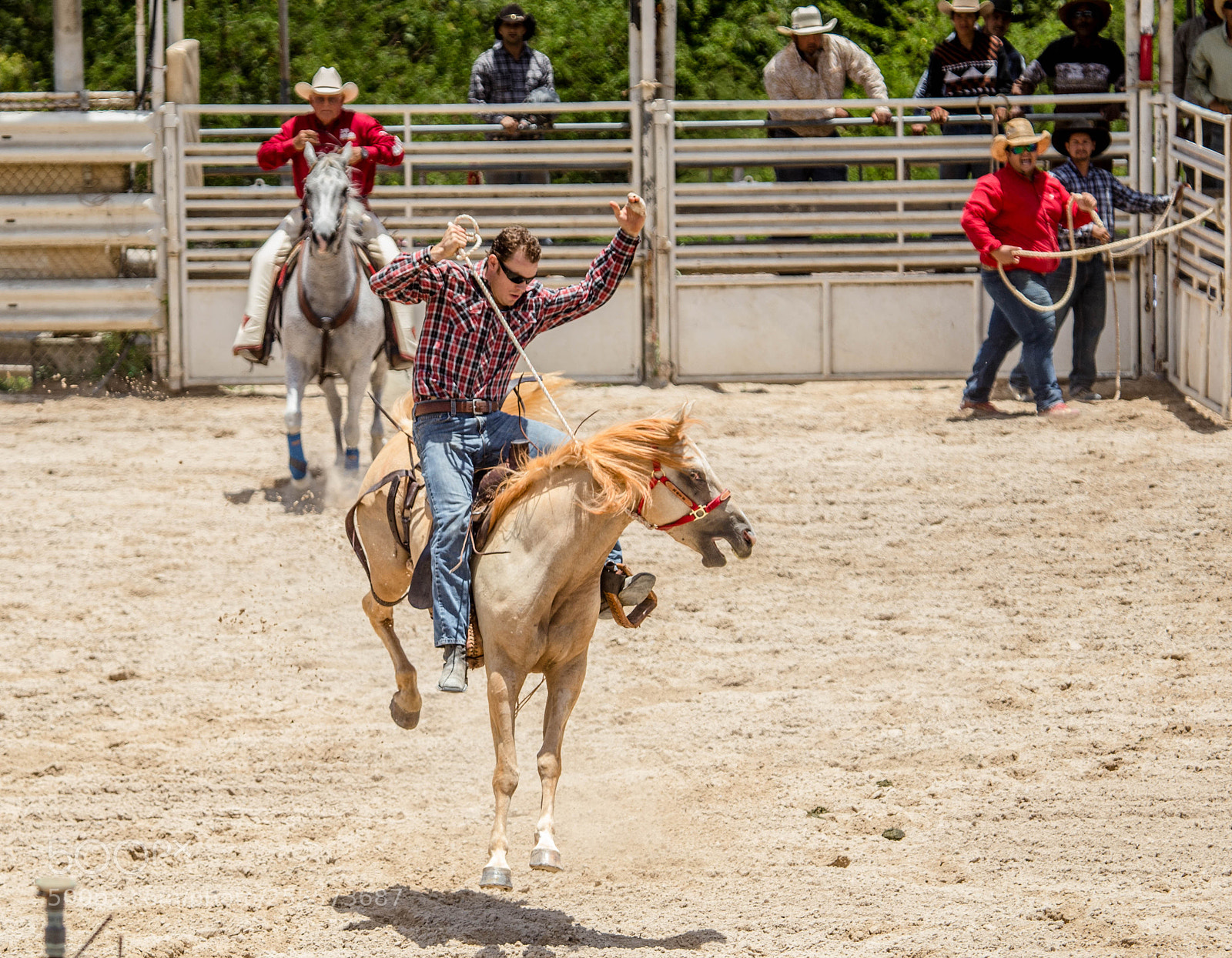 Canon EOS 6D sample photo. Waiminalo rodeo 2017 photography