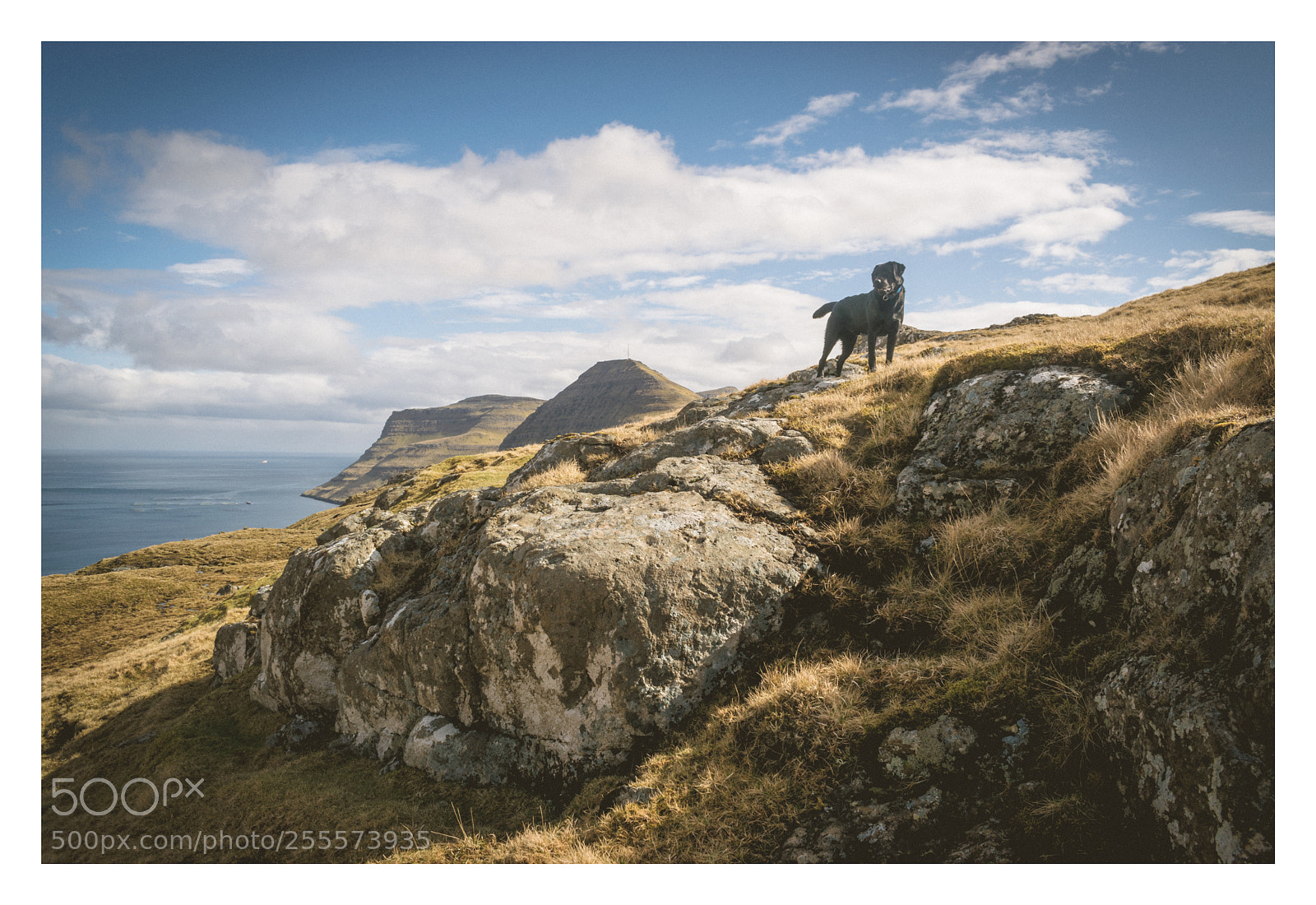 Nikon D3300 sample photo. Hill walking in the photography