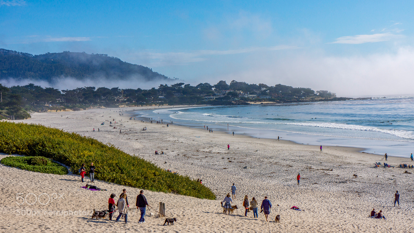 Sony Alpha NEX-7 sample photo. Foggy carmel by the photography