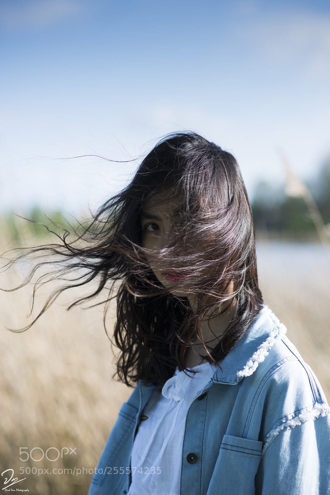 Nikon D610 sample photo. Windy day photography