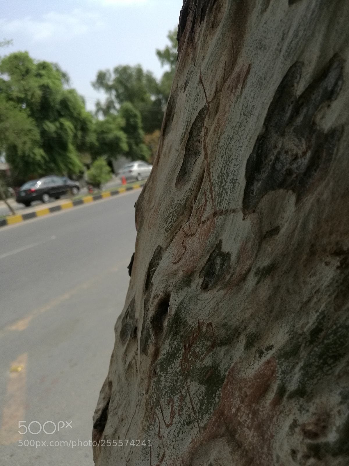 HUAWEI Mate 8 sample photo. Untitled photography