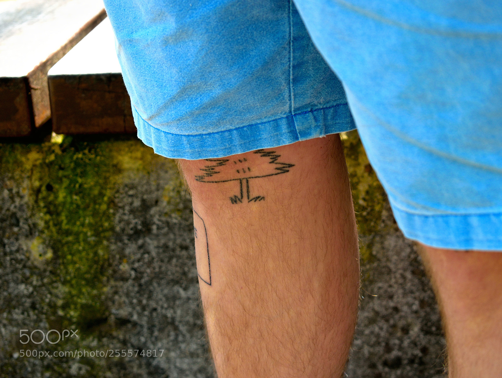 Nikon D3300 sample photo. Tattoo knie photography
