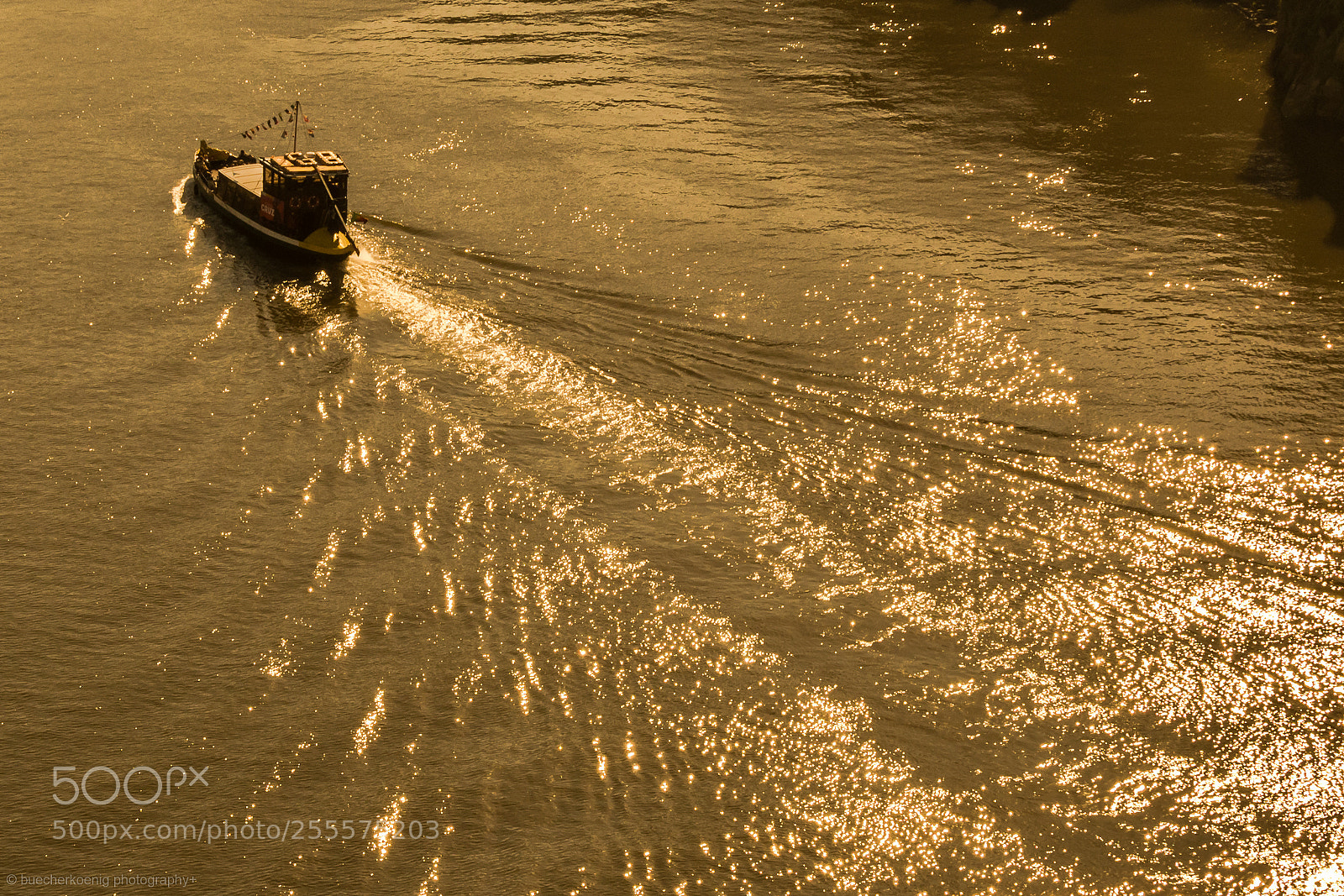 Nikon D7200 sample photo. Porto photography