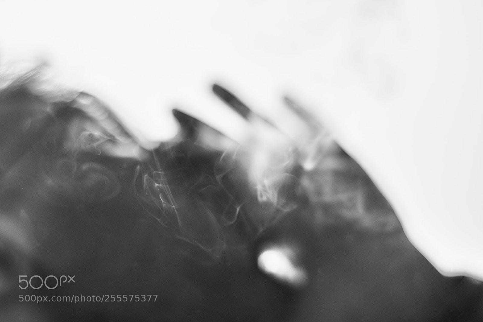 Nikon D7200 sample photo. ~unconscious~ photography