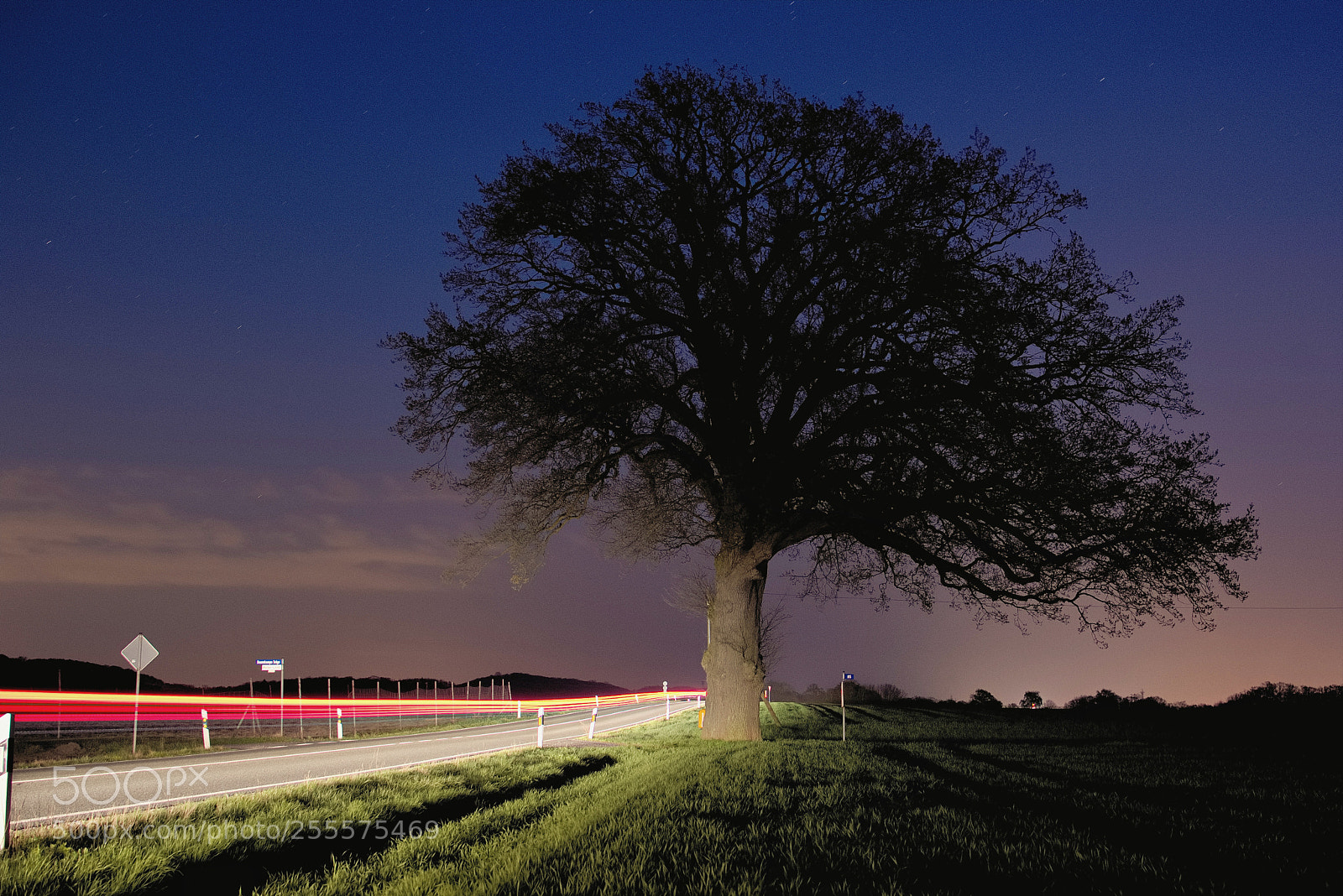 Nikon D5500 sample photo. Traffic & nature photography