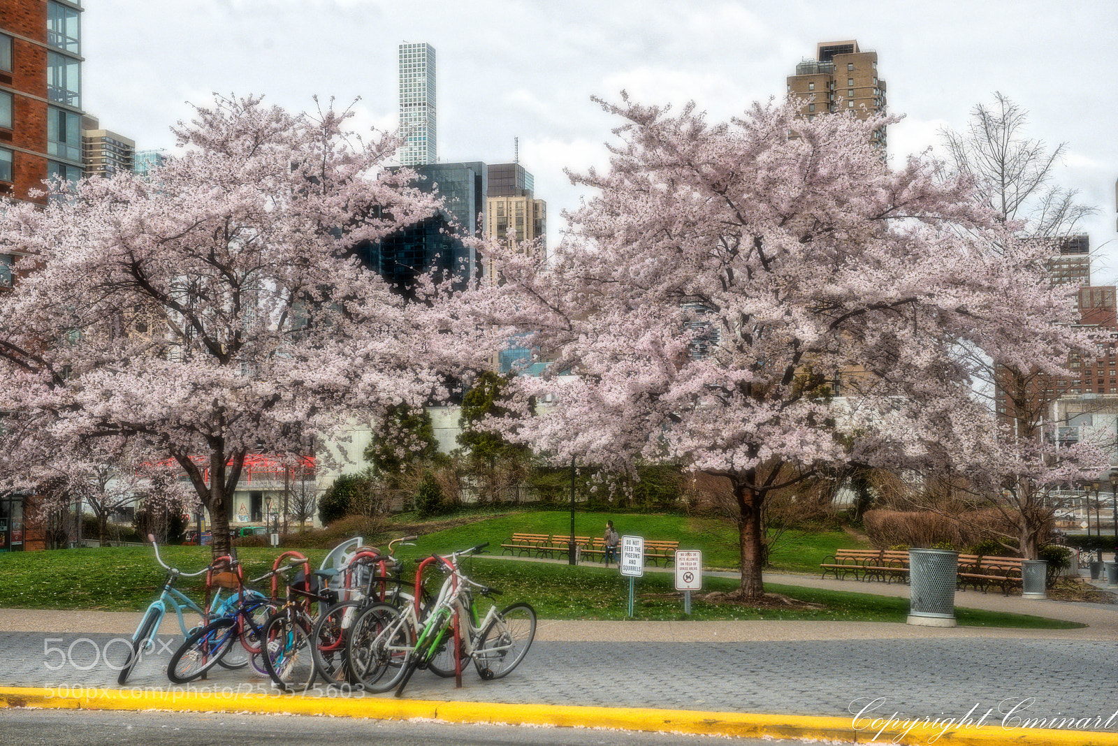 Nikon D800 sample photo. New york 2018 photography
