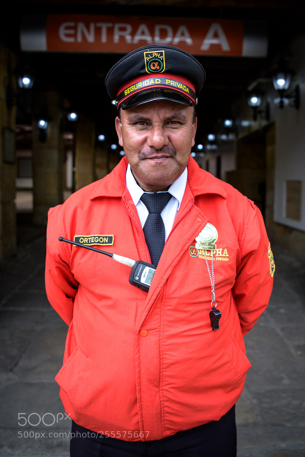 Nikon D850 sample photo. Security guard photography