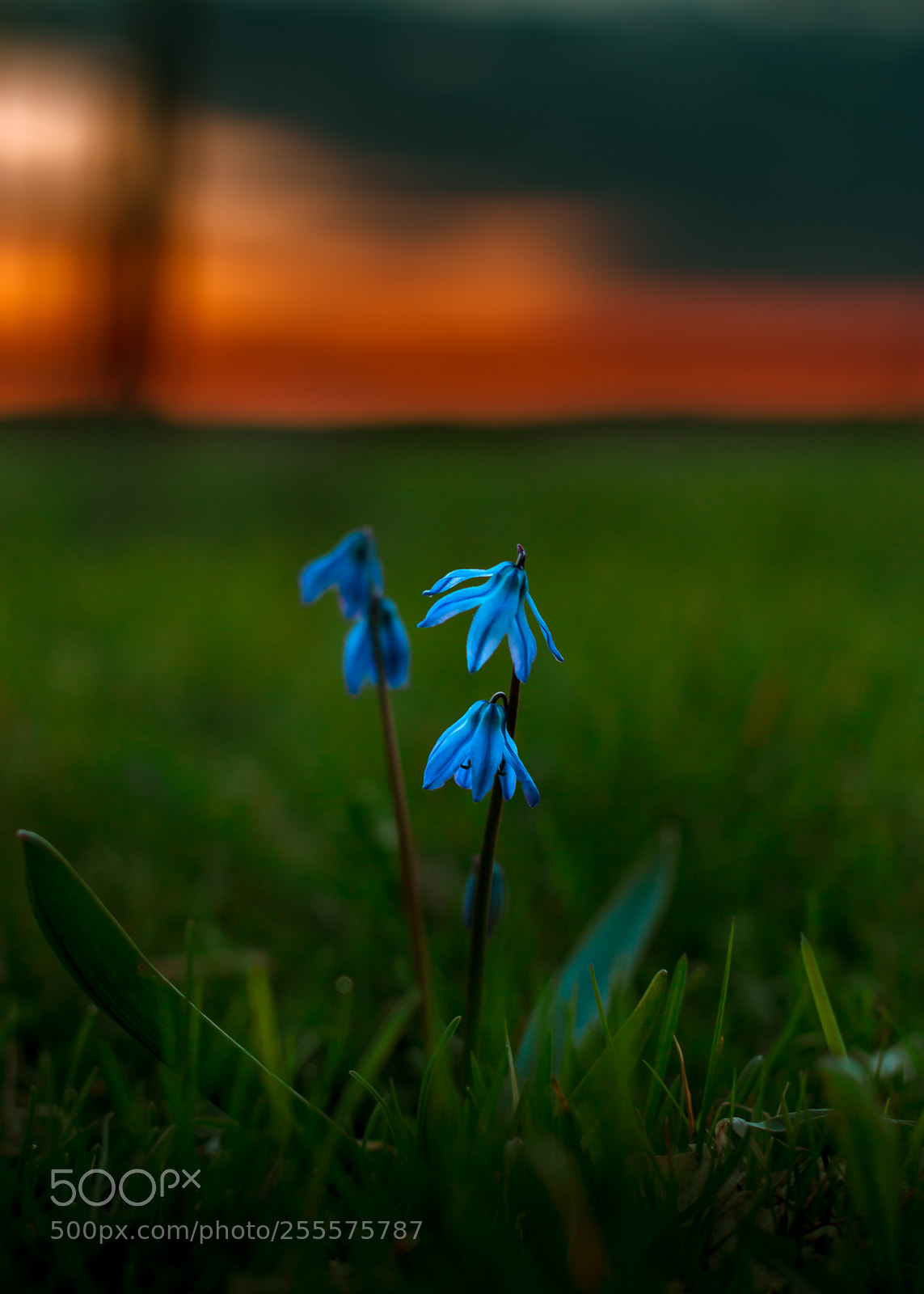 Canon EOS 70D sample photo. Good night photography