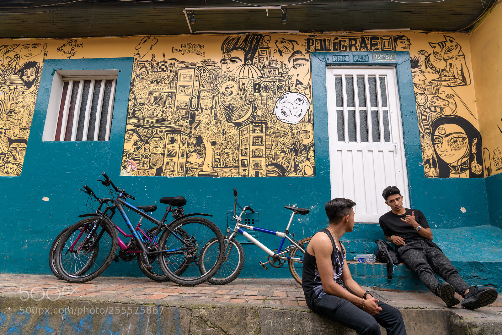 Nikon D850 sample photo. Street art photography