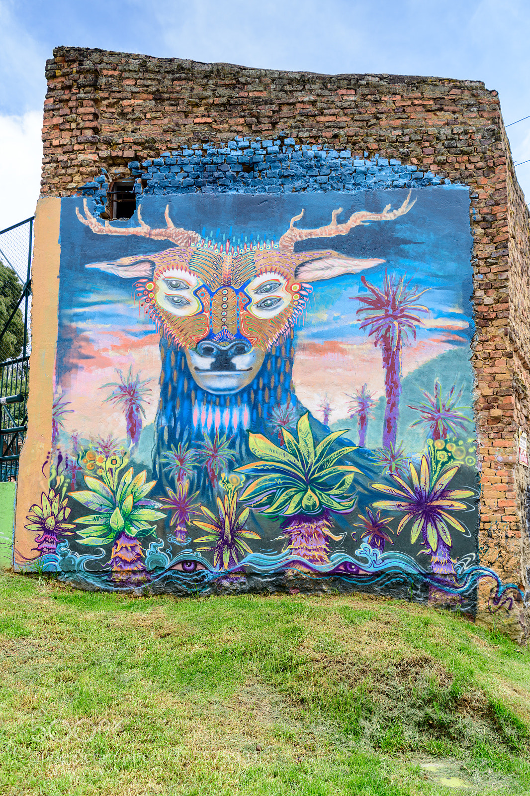Nikon D850 sample photo. Street art photography