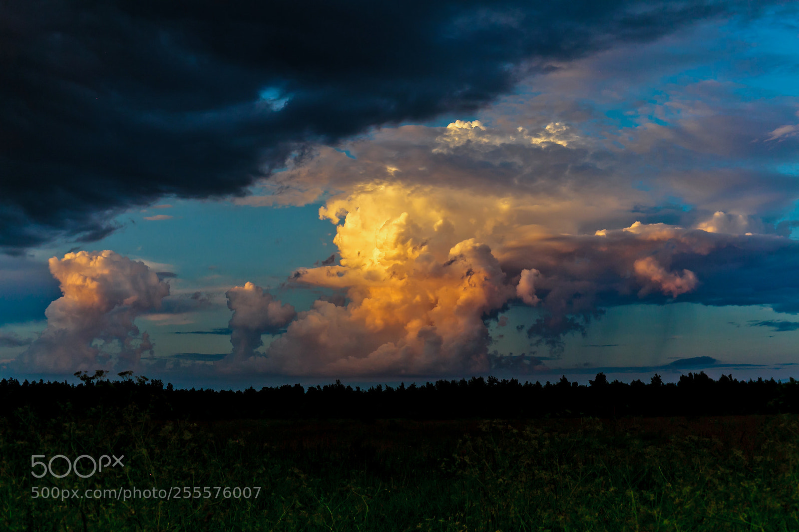 Canon EOS 5D Mark II sample photo. Clouds photography