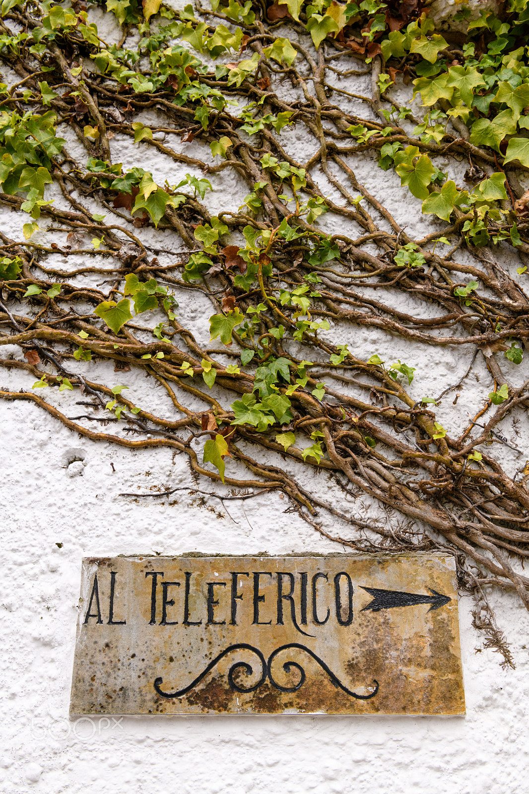 Nikon D850 sample photo. El teleferico photography