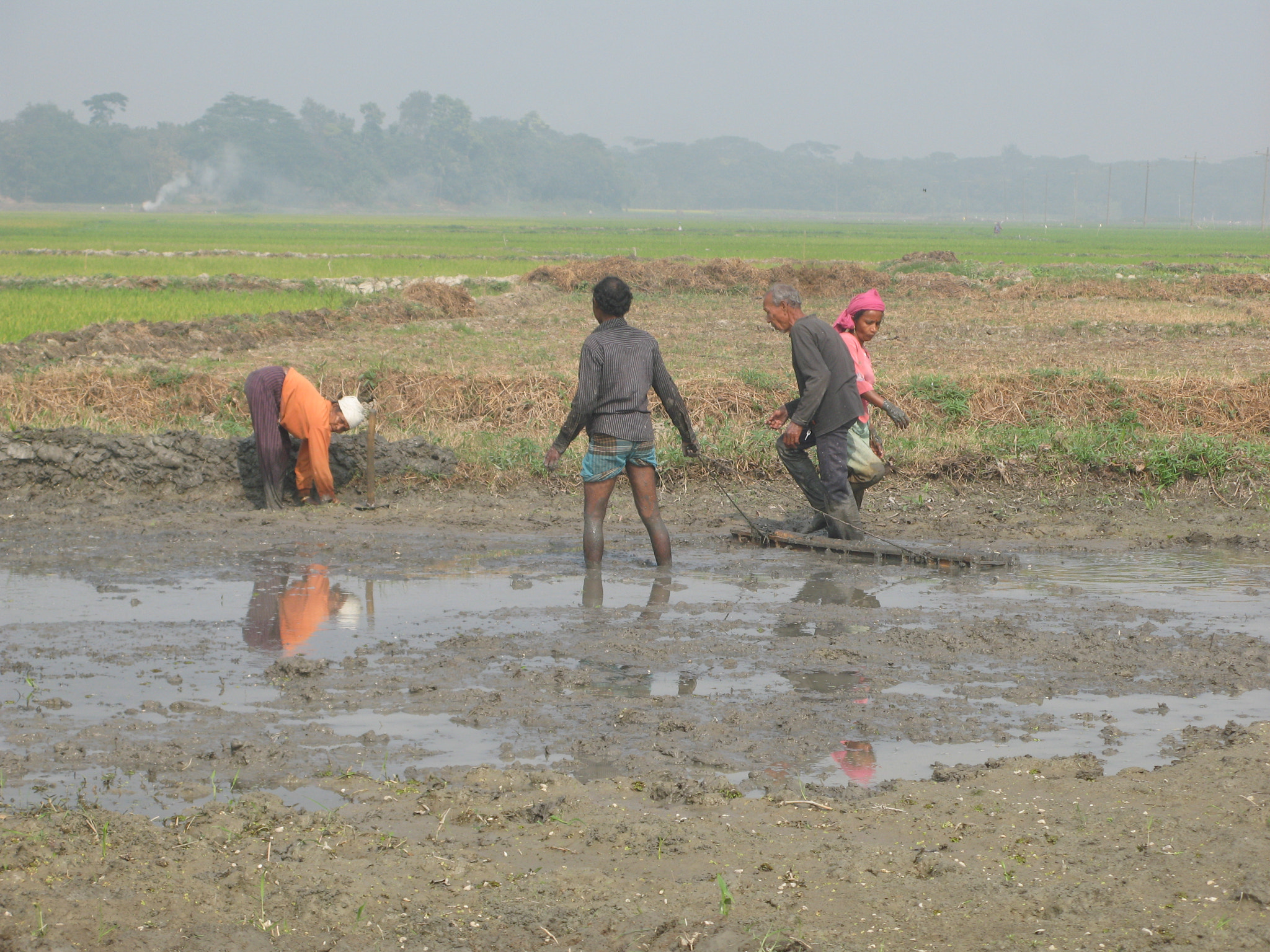 Canon POWERSHOT G7 sample photo. The farmers photography