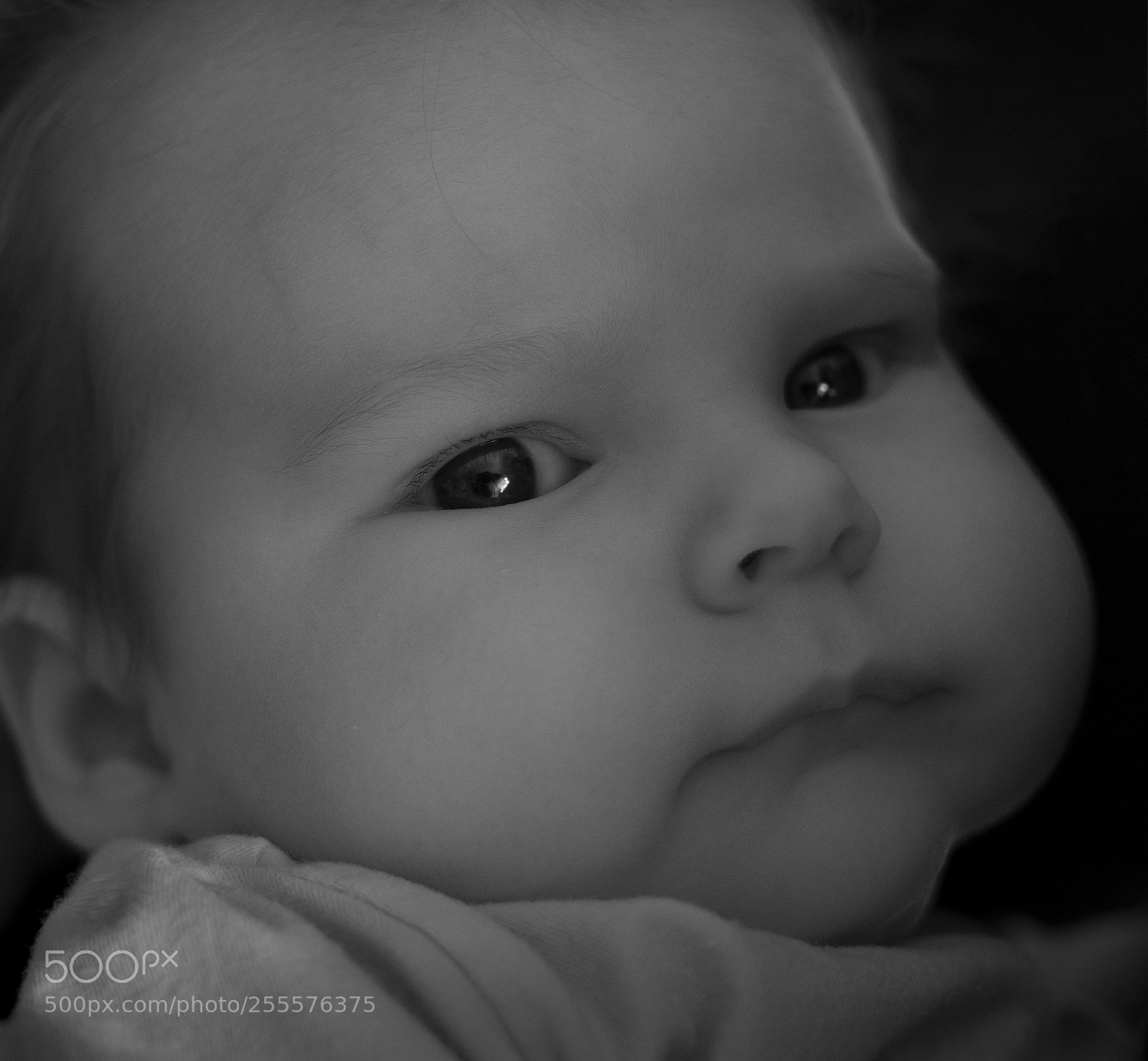 Sony a7R II sample photo. Julia photography
