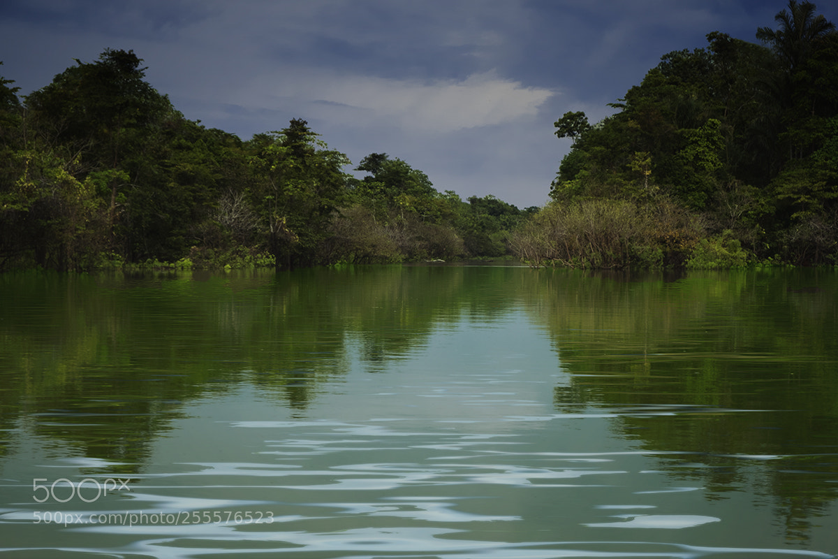Fujifilm X-T2 sample photo. Green river photography