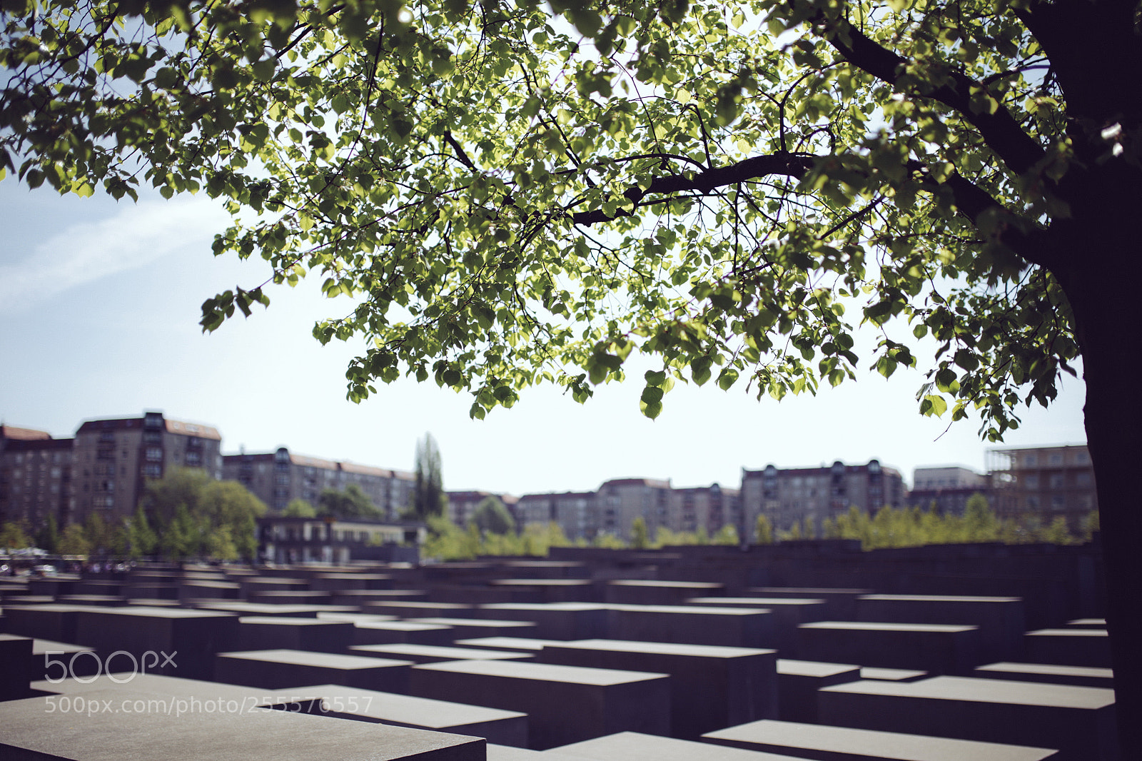 Canon EOS 6D sample photo. Memorial to the murdered photography