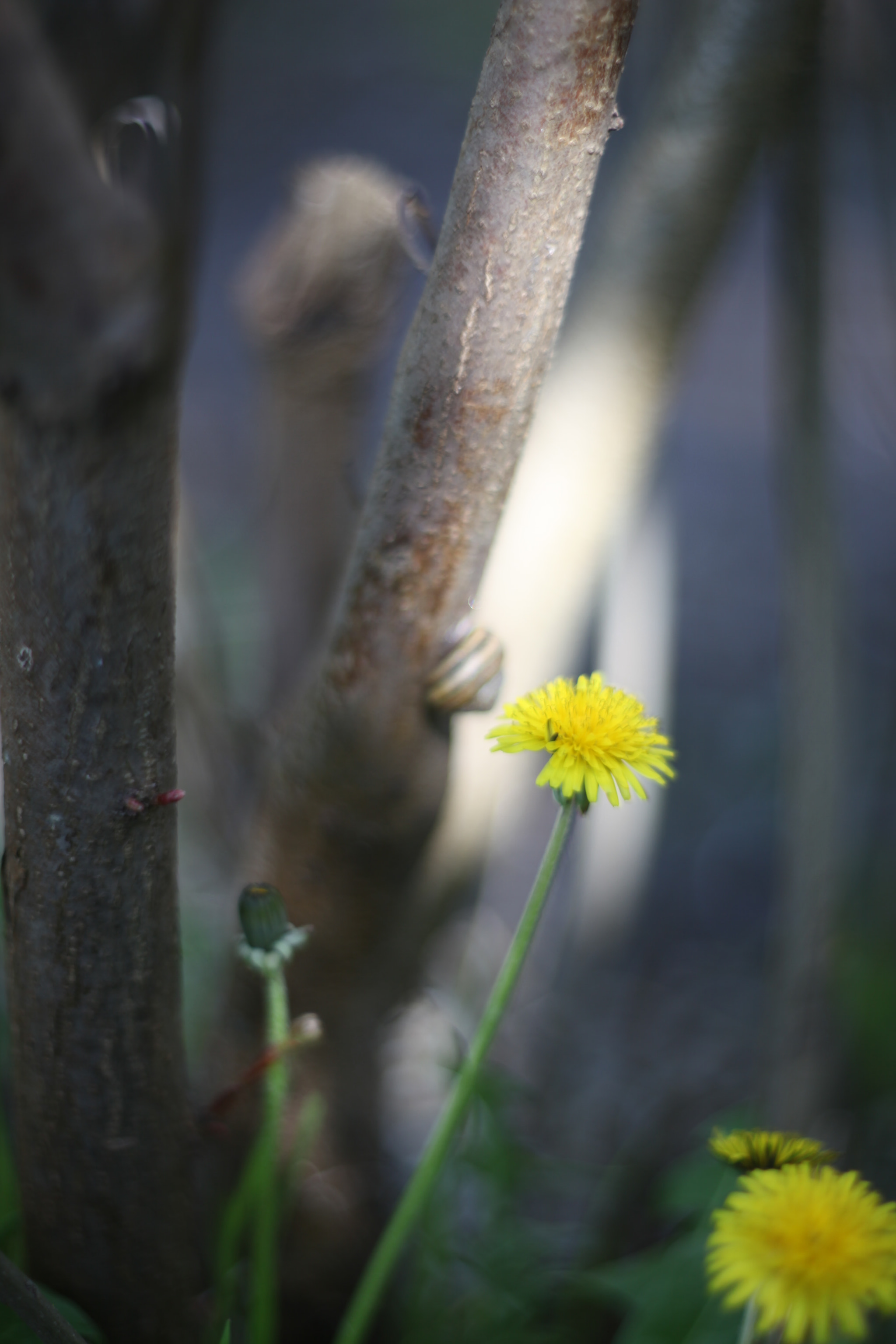 Canon EF 35-80mm f/4-5.6 sample photo. Img photography