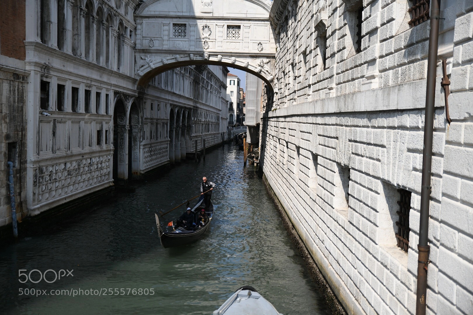 Nikon D850 sample photo. Venice4 photography