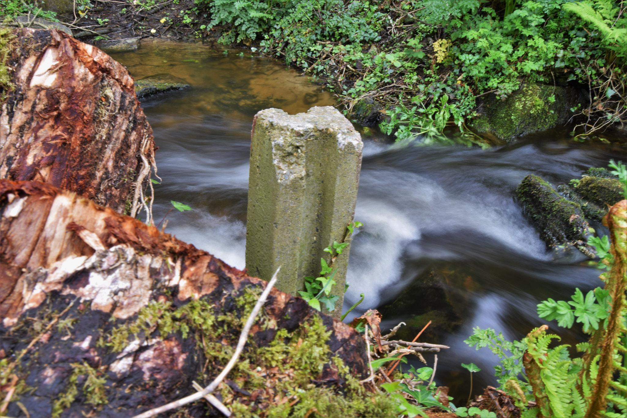 Nikon D3300 sample photo. River photography