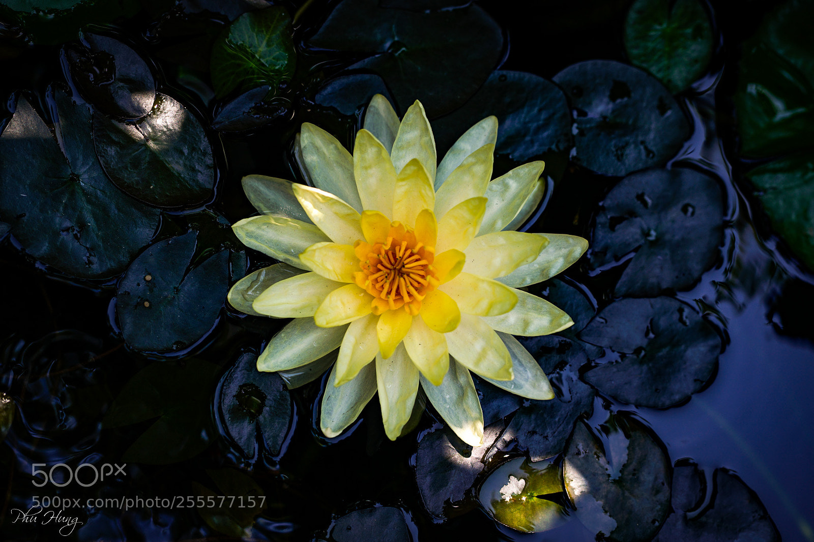 Sony a7 II sample photo. Dsc photography