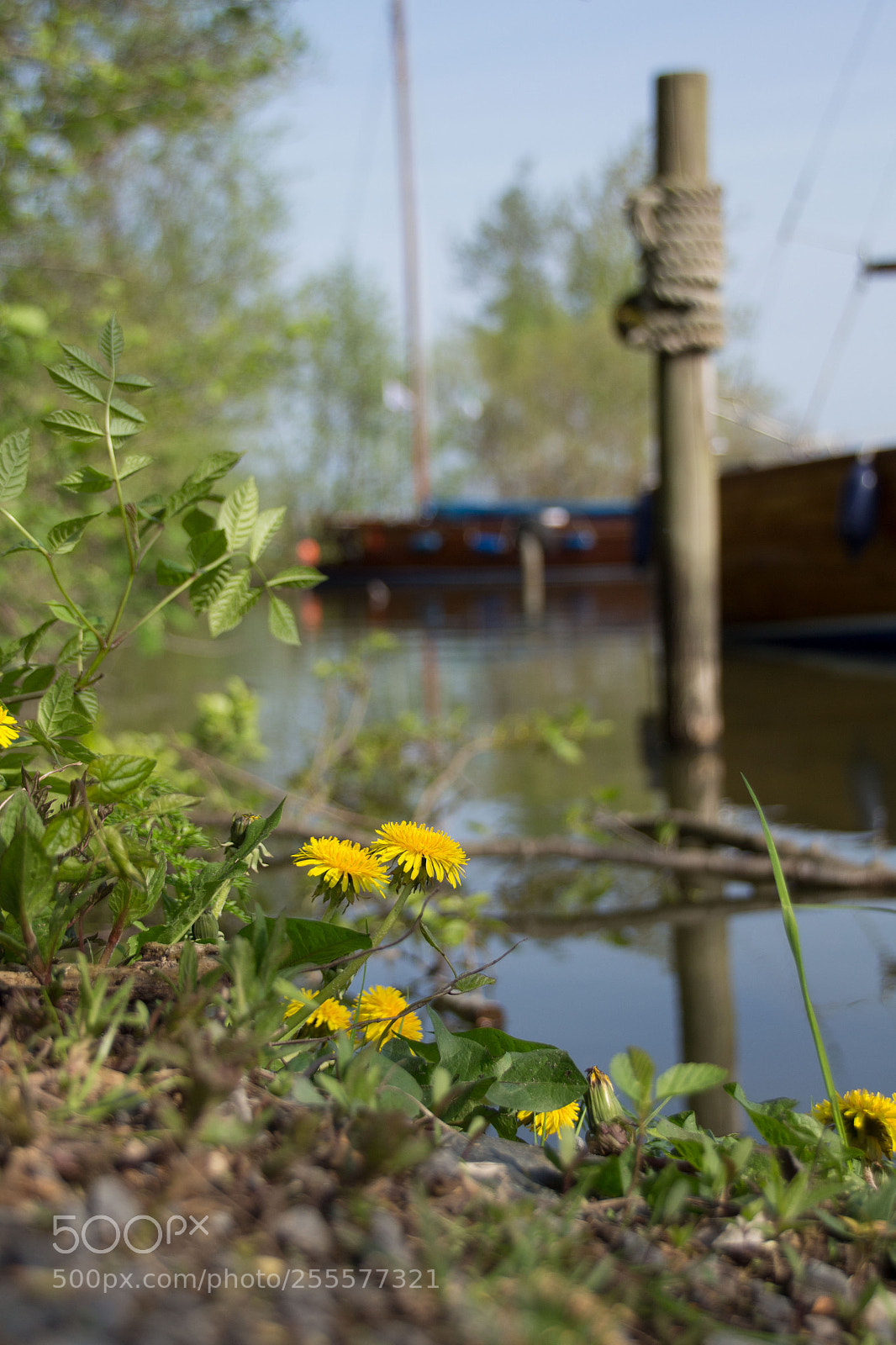 Canon EOS 700D (EOS Rebel T5i / EOS Kiss X7i) sample photo. Am steinhuder meer photography