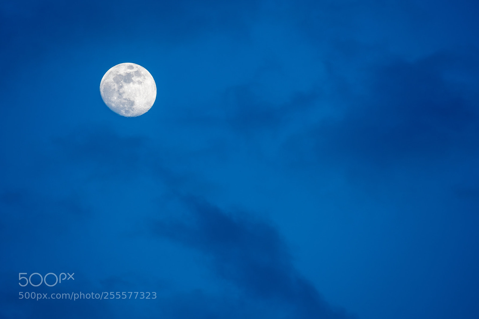 Nikon D850 sample photo. Greetings from our moon photography