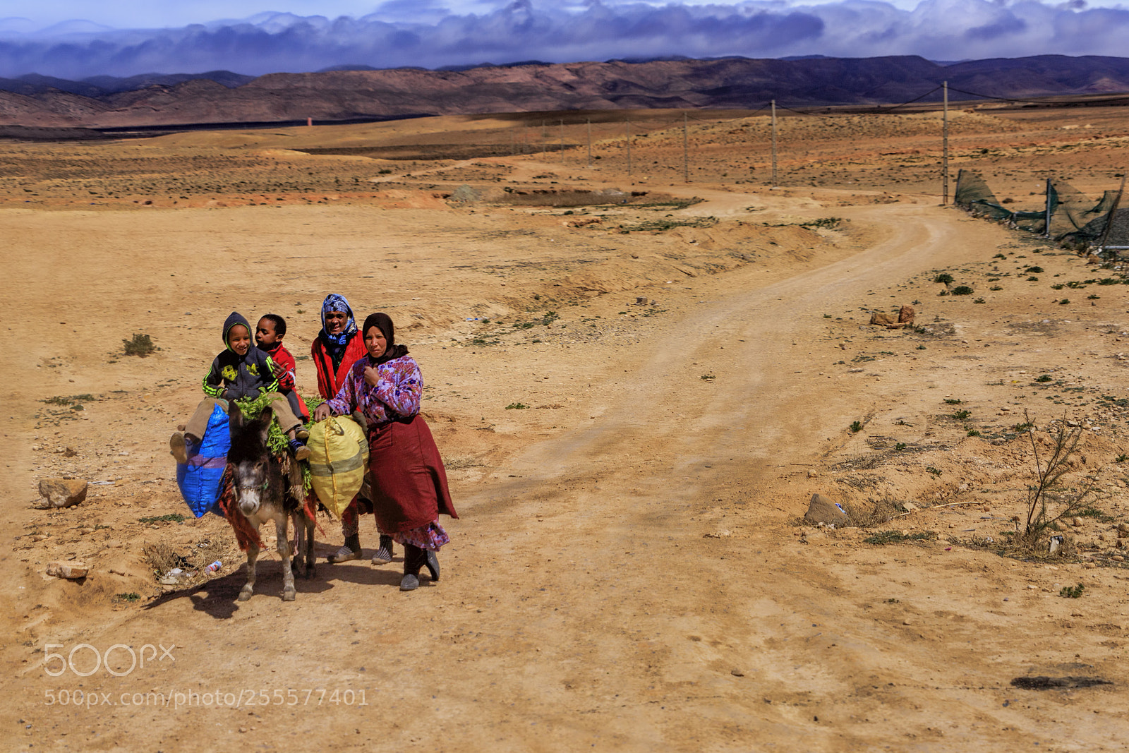 Canon EOS 6D Mark II sample photo. On the road photography