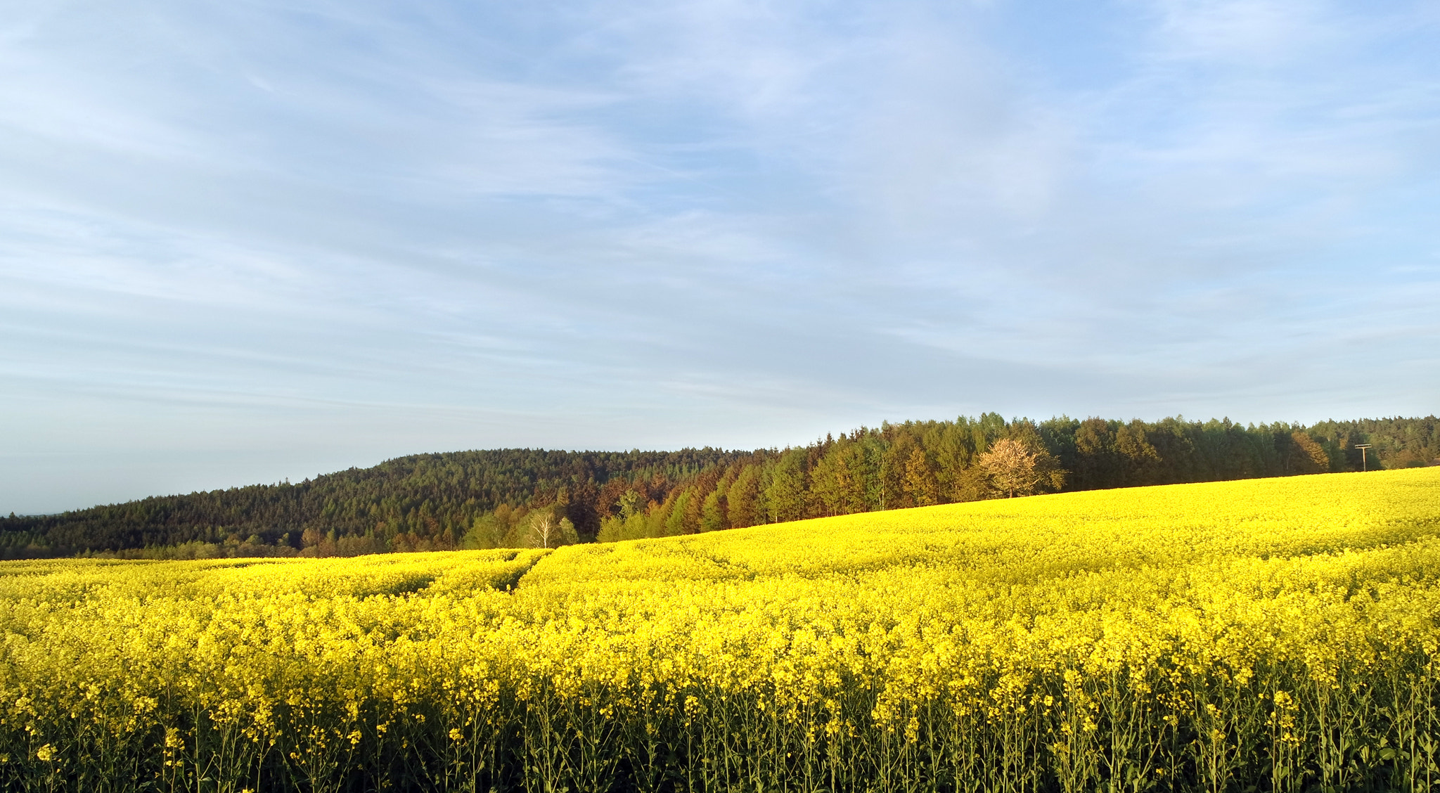 Samsung NX3300 sample photo. Nice springtime photography