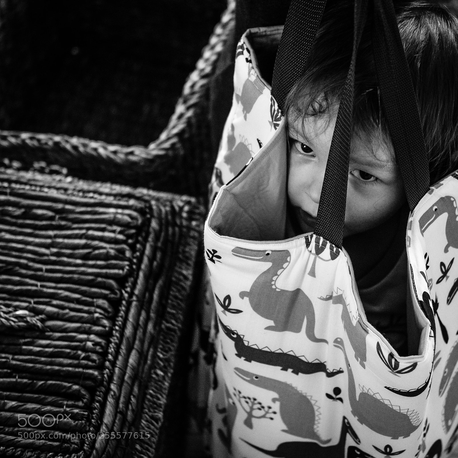 Fujifilm X-Pro2 sample photo. In the shop photography