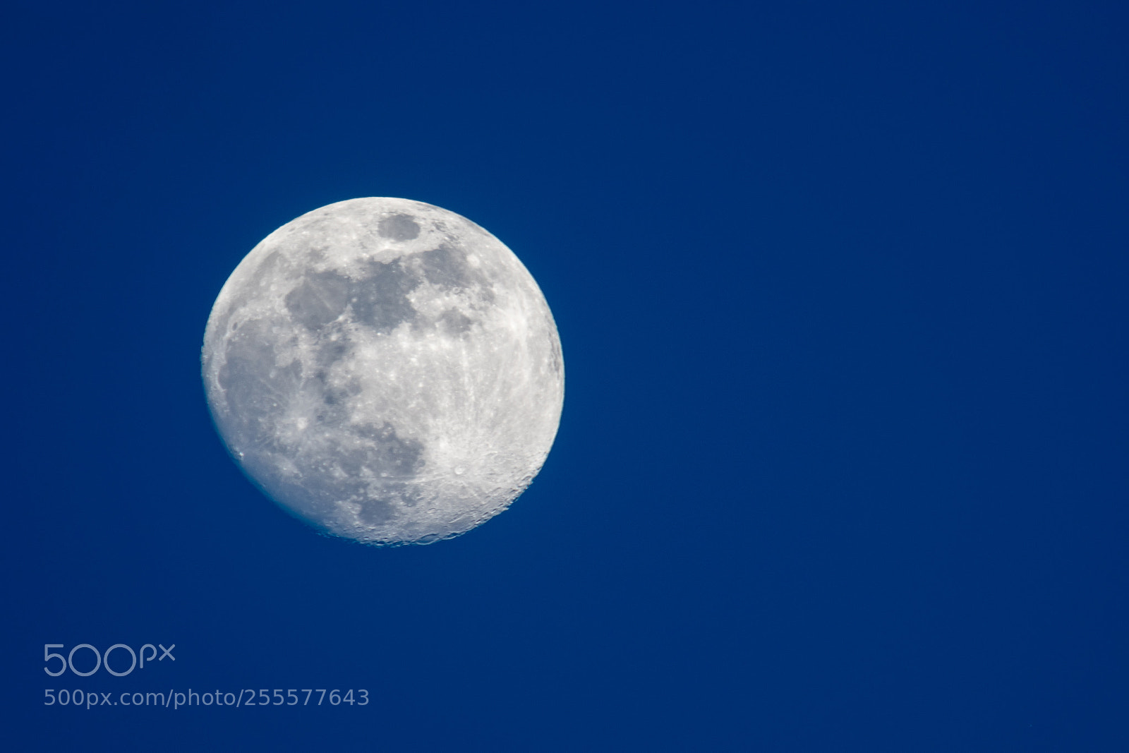 Nikon D850 sample photo. The moon by clear photography